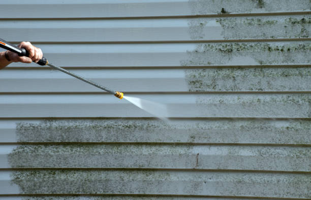 Mold Testing and Removal in Junction City, KS
