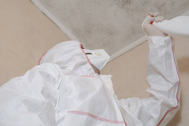 Best Professional Mold Removal  in Junction City, KS