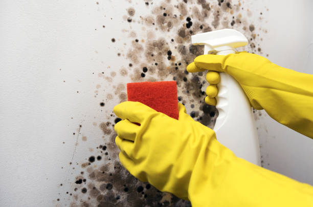 Water Damage Restoration in Junction City, KS