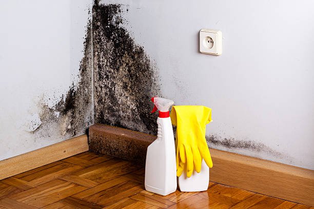 Crawl Space Mold Removal in Junction City, KS